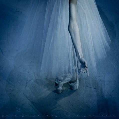 Nickolay Krusser, Photograph (2014)