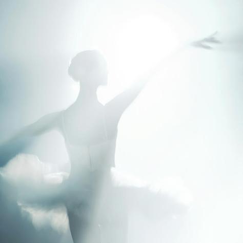 Nicolay Krusser, Photograph (2014)